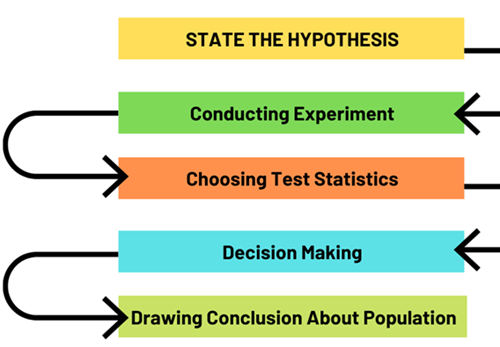 Steps of the Scientific Process